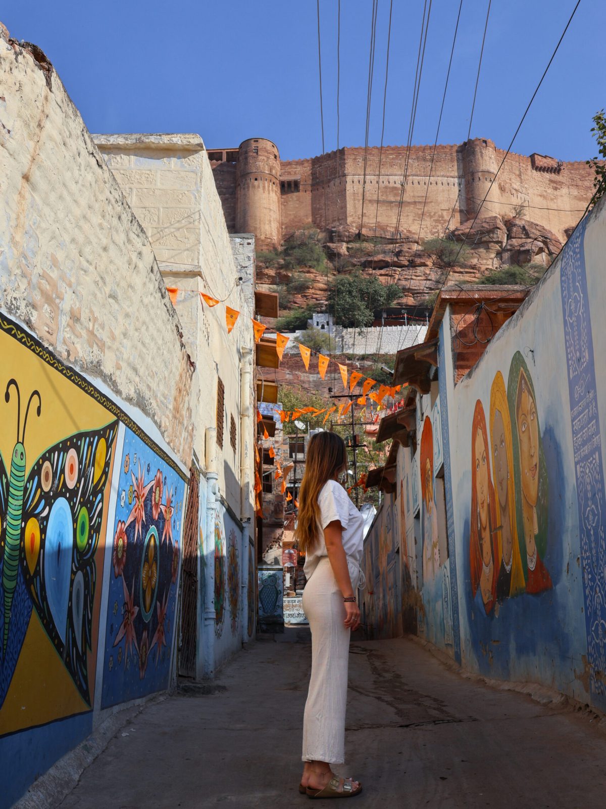 Vue sur le fort de Meharangarh depuis la blue city