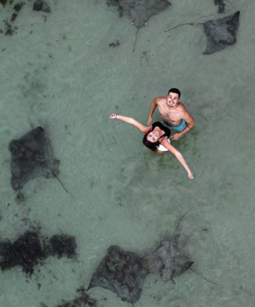 Couple nageant avec les raies à Bendalong