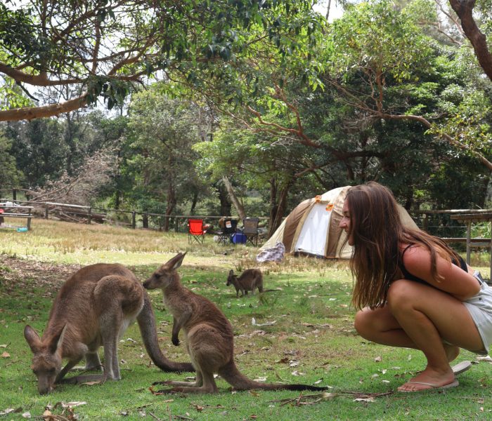 Lisa à côté de deux kangourou dans le parc de Booderee